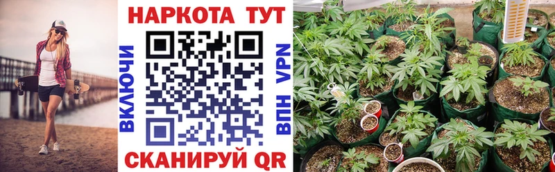 Где можно купить наркотики Сатка Кокаин Меф АМФ блэк спрут зеркало ГАШИШ МАРИХУАНА Псилоцибиновые грибы