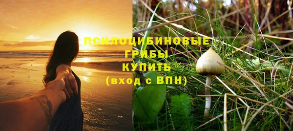 экстази Рославль
