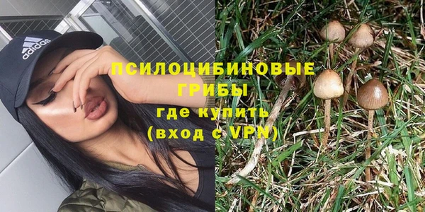 мдпв Россошь