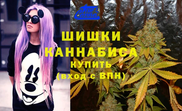 экстази Рославль