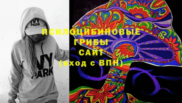 экстази Рославль