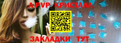шишки Изобильный
