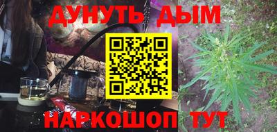 шишки Изобильный