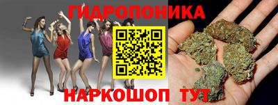 шишки Изобильный