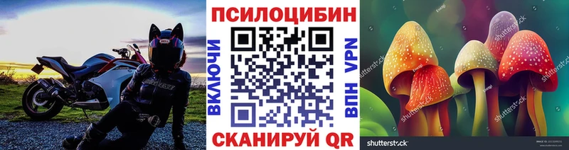 Псилоцибиновые грибы Magic Shrooms  Сатка 