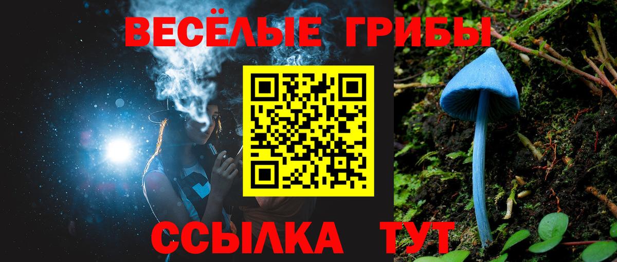 Галлюциногенные грибы прущие грибы Сатка